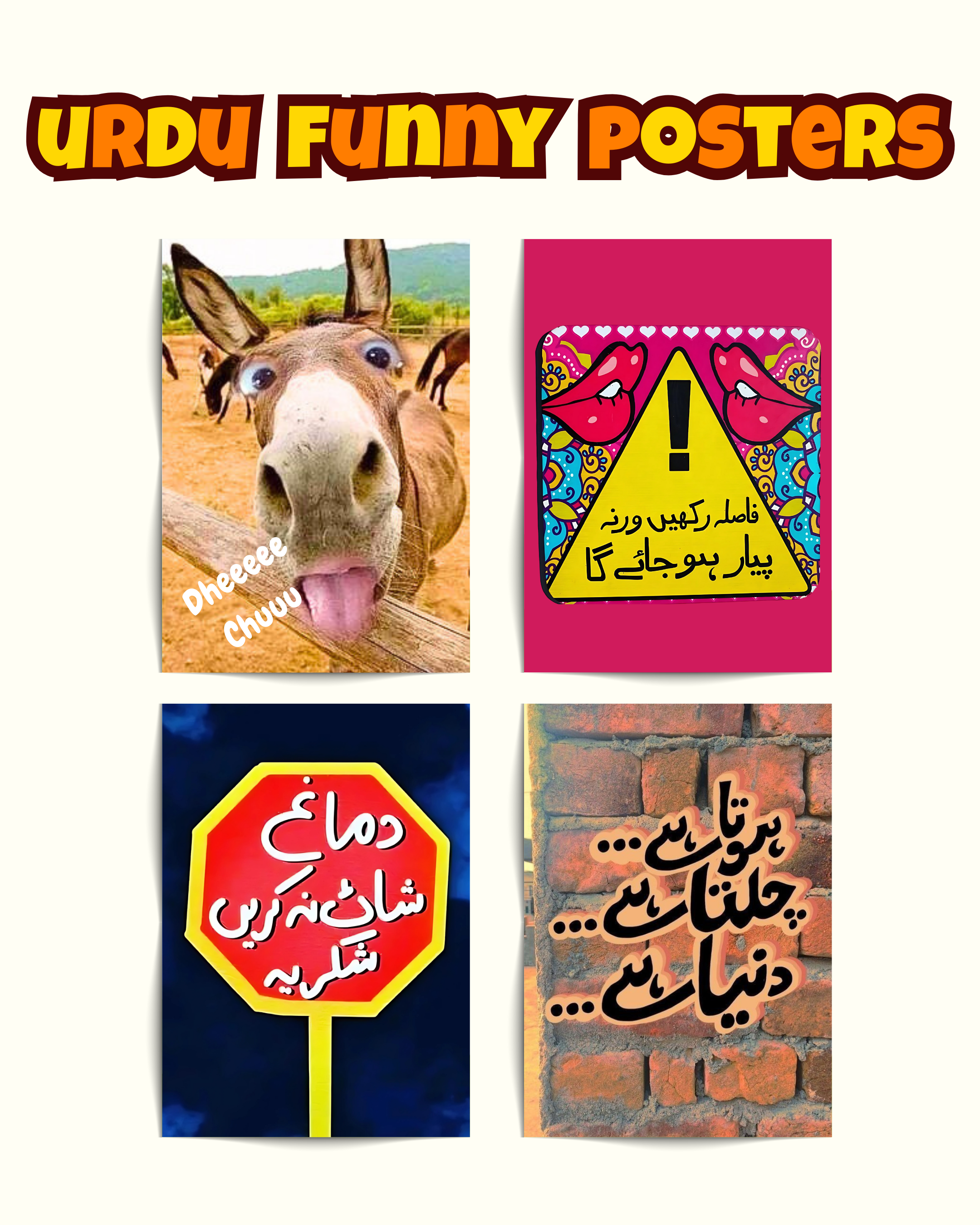 Funny Urdu Posters