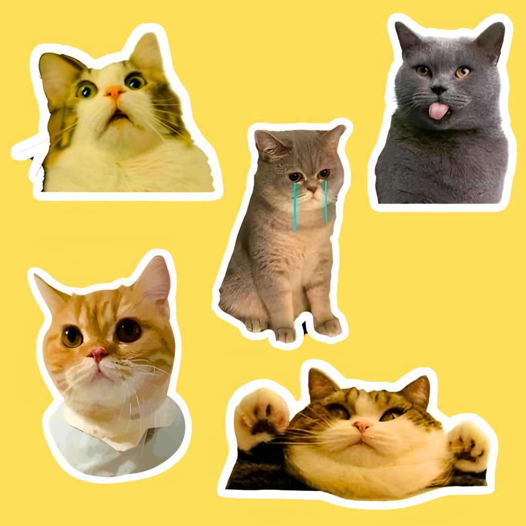 pack-of-5-big-stickers