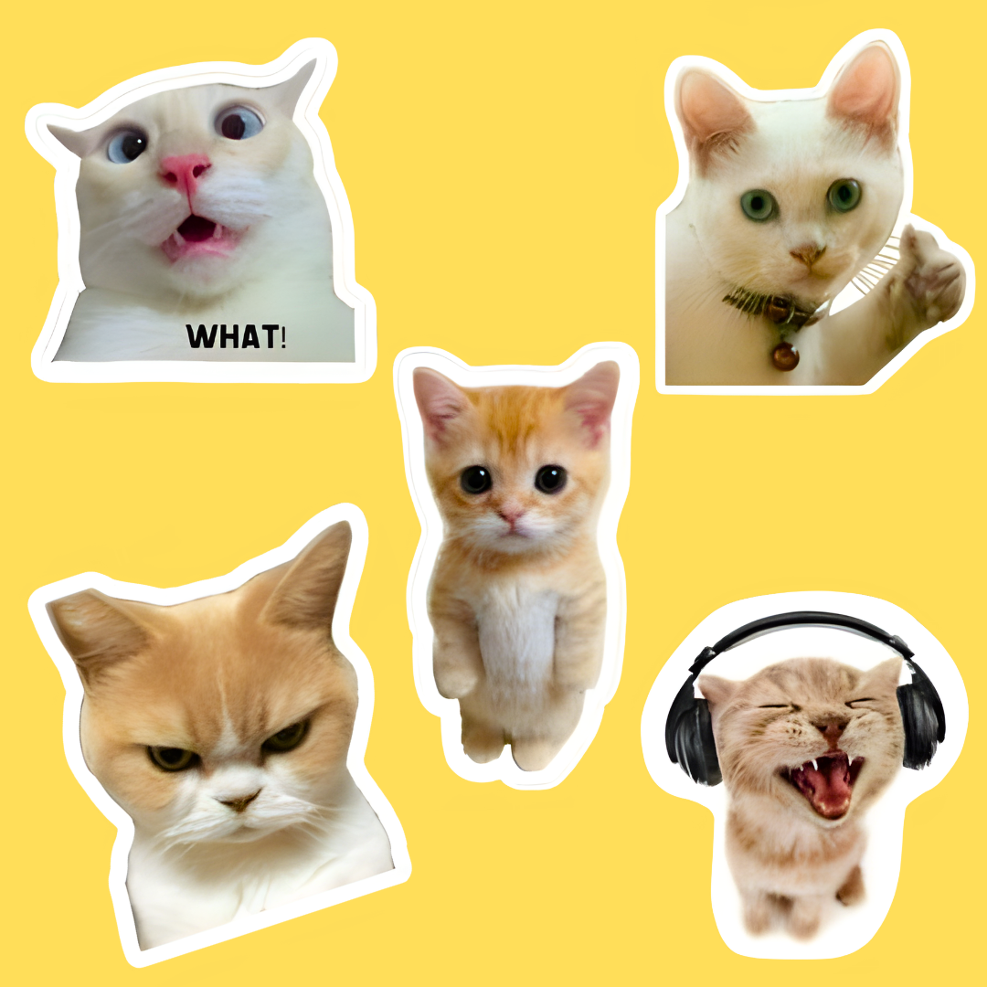 pack-of-5-big-stickers